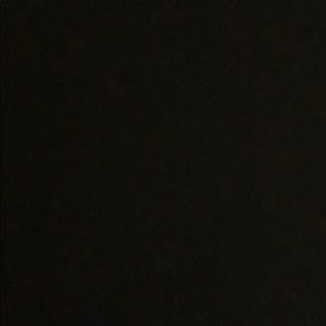 Meet your Posher, Ella